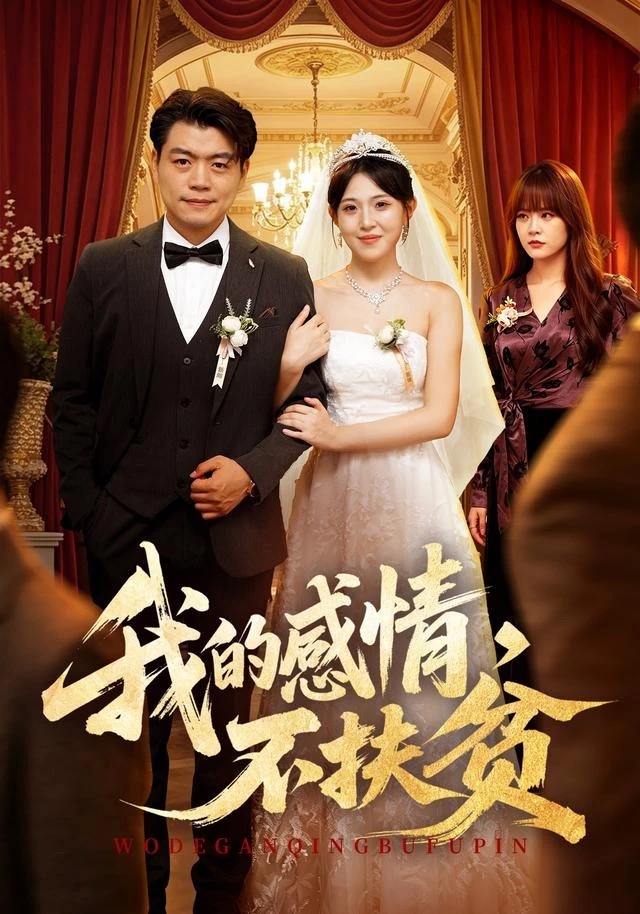 《我的感情,不扶贫》短剧封面